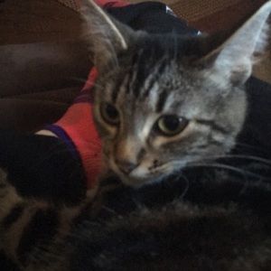 Meet your Posher, Emma